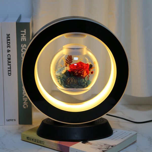 2fb1c5ec-ff34-4a0f-b8c3-f594c47d8cda.jpg Magnetic Levitation Immortal Flowers For Girlfriend On Chinese Valentine's Day