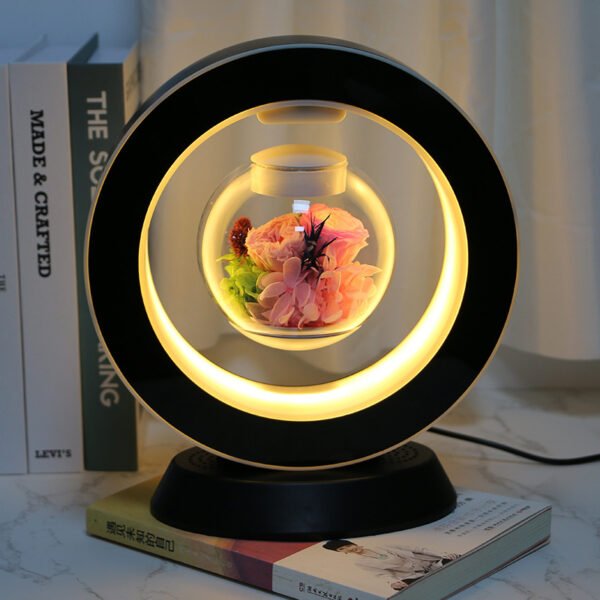 697a413e-deb0-4450-8353-73cfe1993a31.jpg Magnetic Levitation Immortal Flowers For Girlfriend On Chinese Valentine's Day