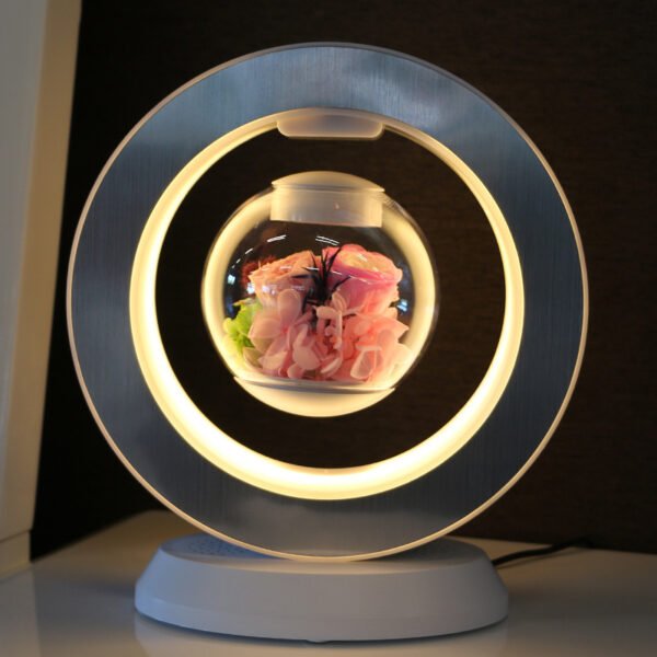 c3b57740-107f-47bf-9397-0524e347bbe4.jpg Magnetic Levitation Immortal Flowers For Girlfriend On Chinese Valentine's Day