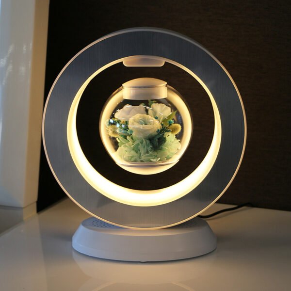 e59ecf16-f3b8-472e-af49-748458ab5436.jpg Magnetic Levitation Immortal Flowers For Girlfriend On Chinese Valentine's Day