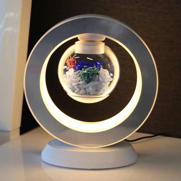 fda1c295-aa89-4ba8-9972-fff665e7b3c4.jpg Magnetic Levitation Immortal Flowers For Girlfriend On Chinese Valentine's Day