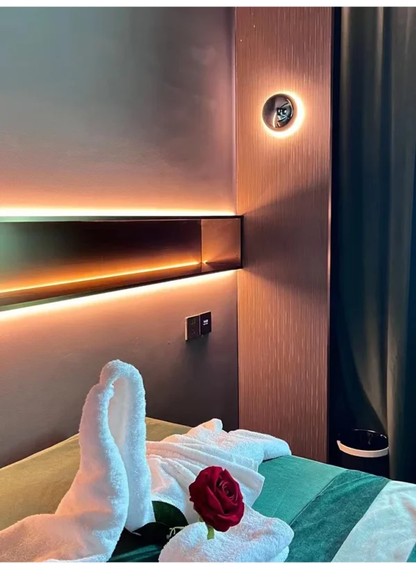 Nordic decorative gold circular wall lamp bedroom bedside living room dining room art minimalist wall mounted lamp