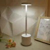 Office Decorative Lamp with Metal Brushed Texture USB Convenient Desk Lamp Suitable for Bedrooms Dining Rooms Living Rooms